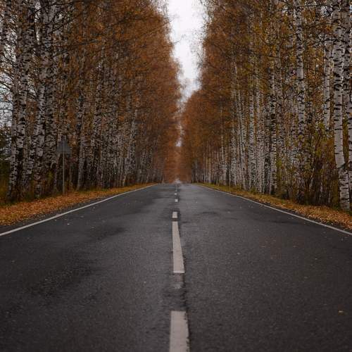 Photo #11227162