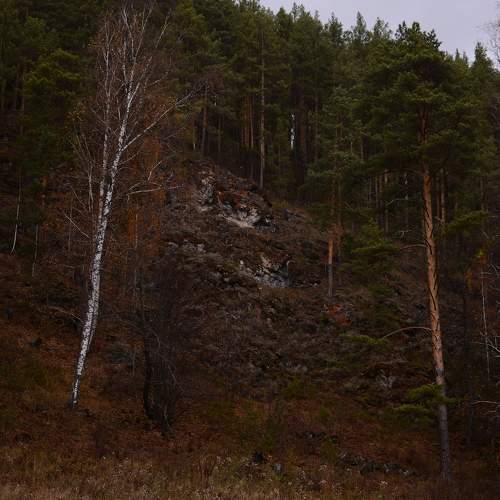 Photo #11227182