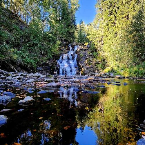 Photo #11227215