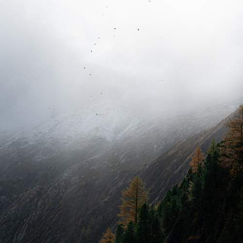 Photo #11227231