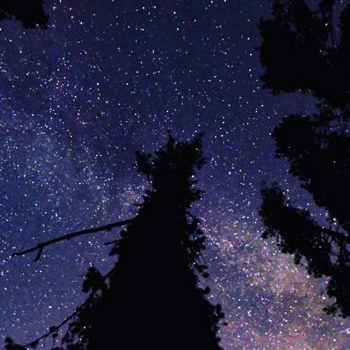 Photo #11227315
