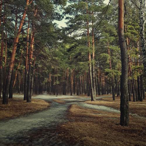 Photo #11227441