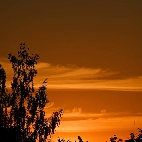 Photo #11227444