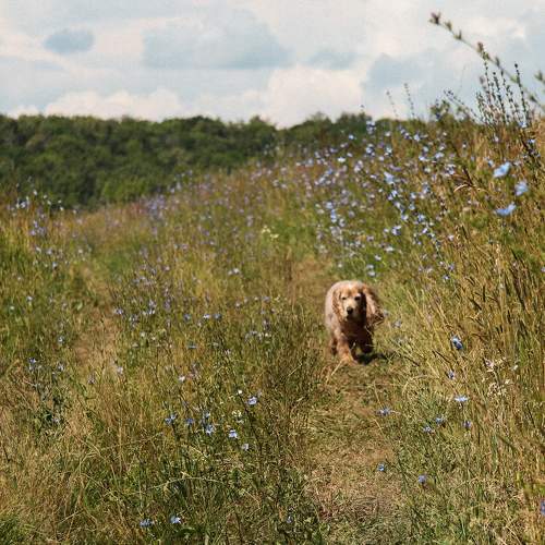 Photo #11227514