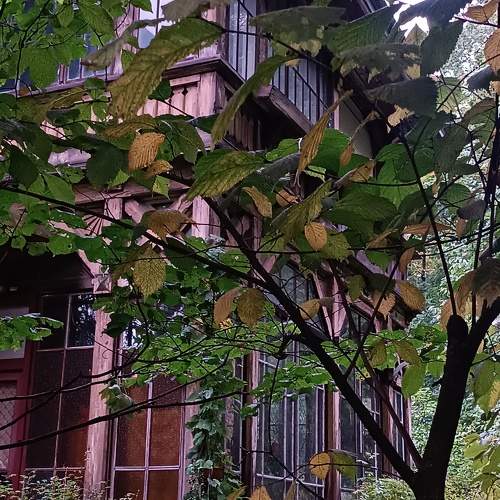 Photo #11227555
