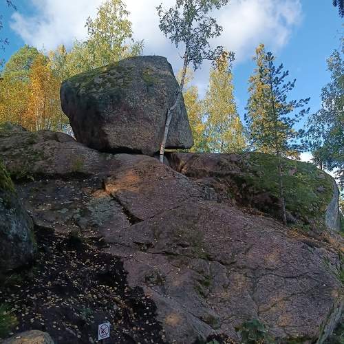 Photo #11227559