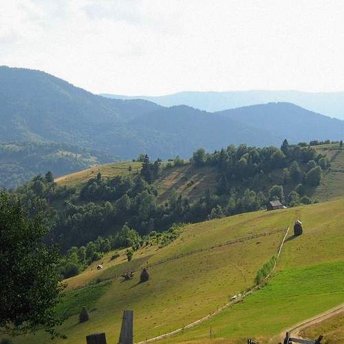 Photo #11227826