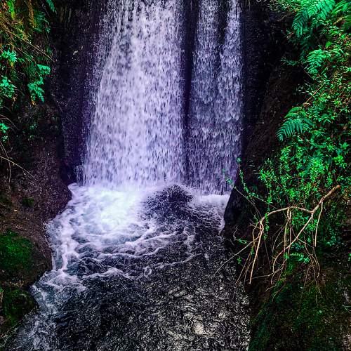 Photo #11227889