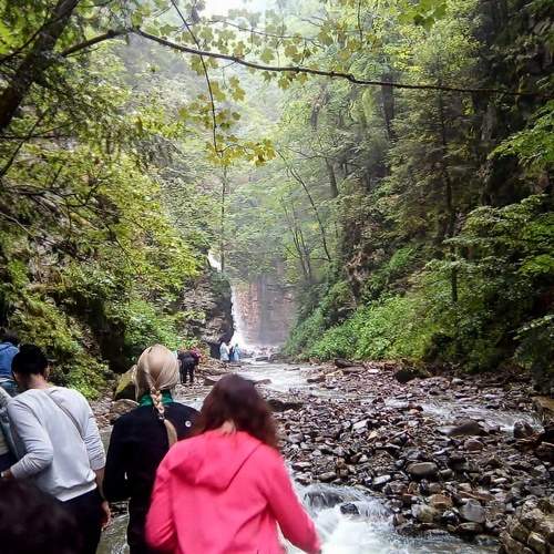 Photo #11227928