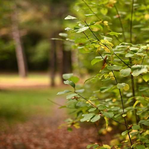 Photo #11228001