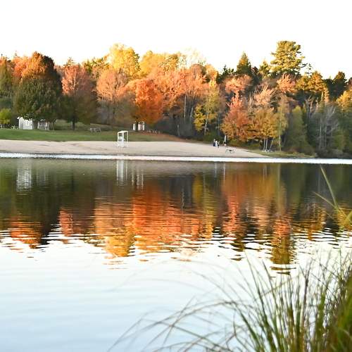 Photo #11228012