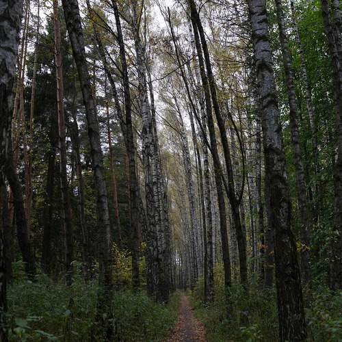 Photo #11228053