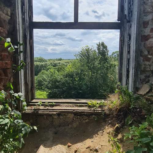 Photo #11228078