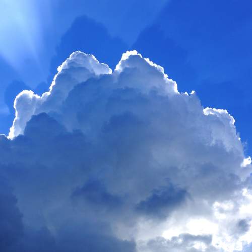 Photo #11228202