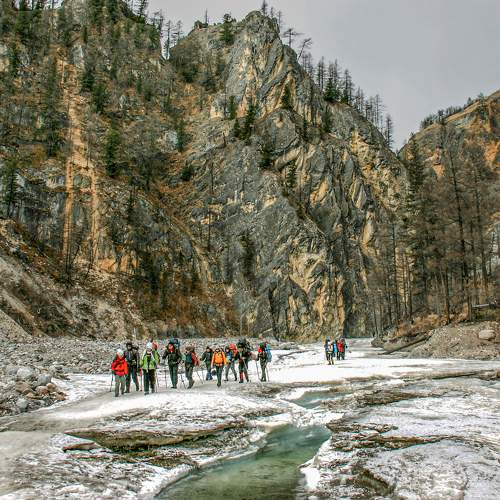 Photo #11228350