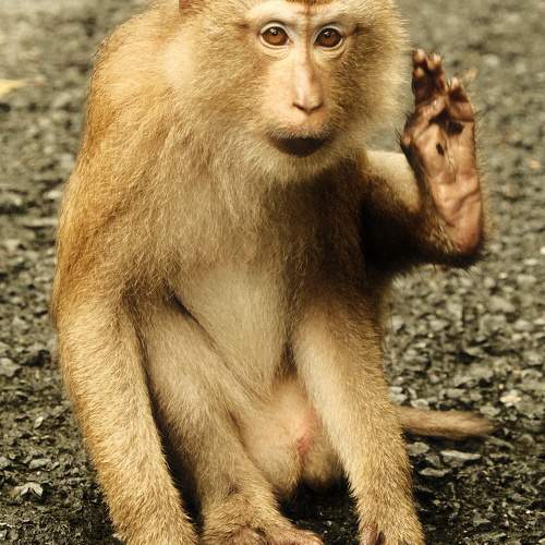 Photo #11228365