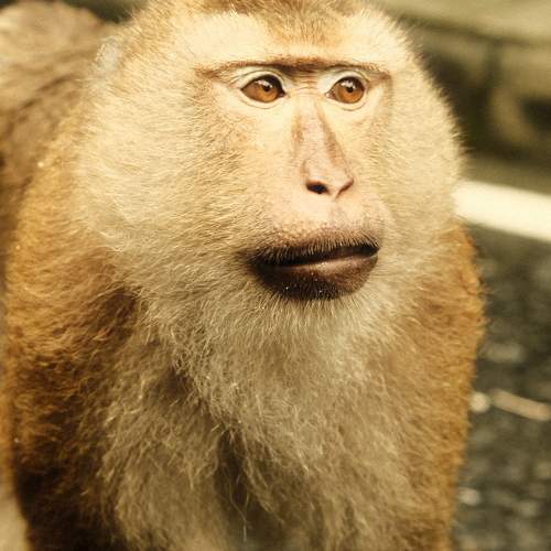 Photo #11228366