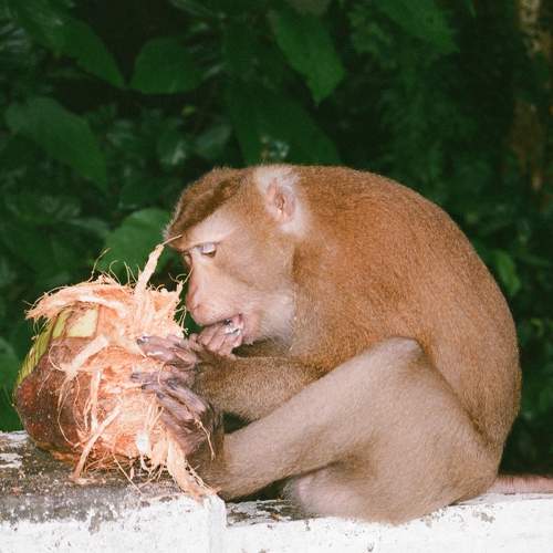 Photo #11228381