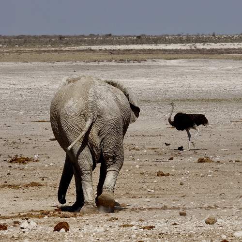 Photo #11228539
