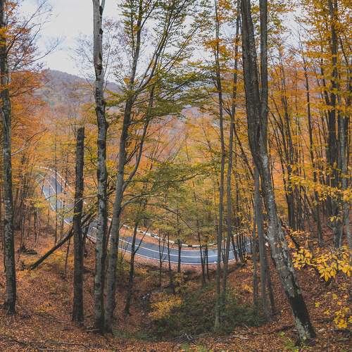 Photo #11228783