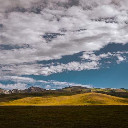 Photo #11228925