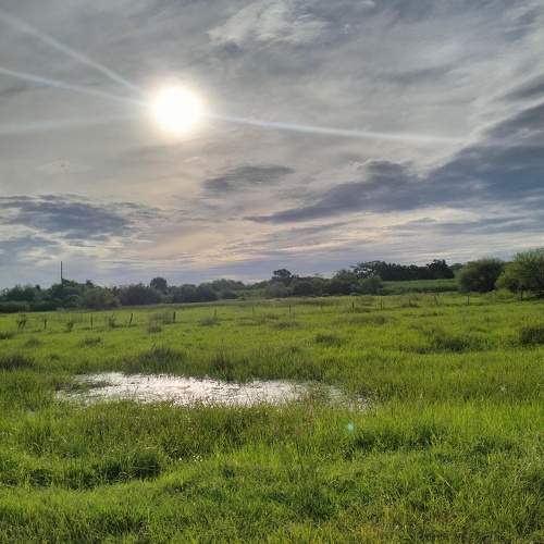 Photo #11228999