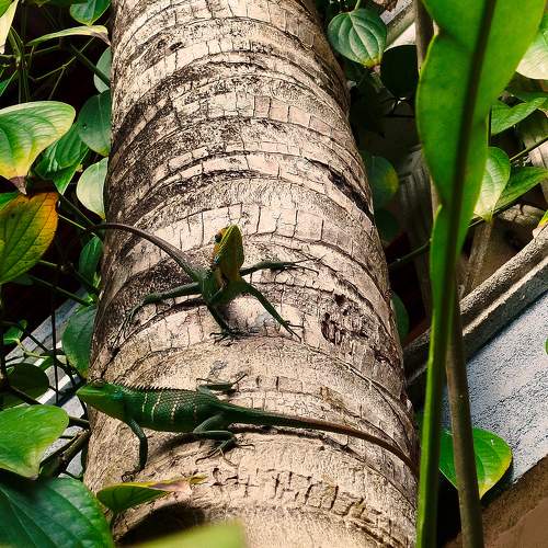 Photo #11229023