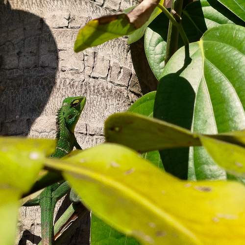 Photo #11229031