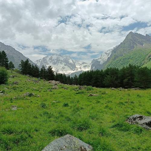 Photo #11229160
