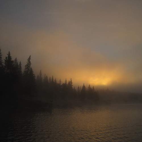 Photo #11229243