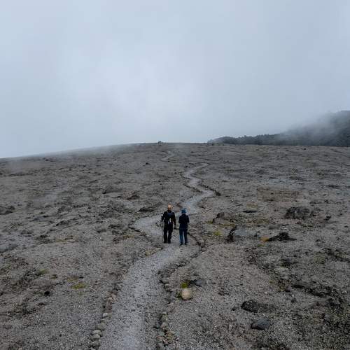 Photo #11229307