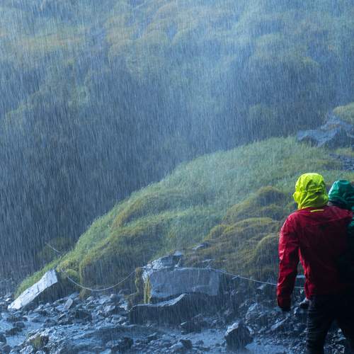 Photo #11229615