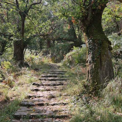 Photo #11229825