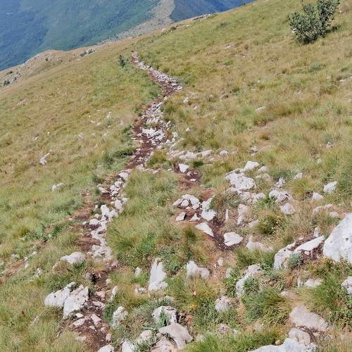 Photo #11229837