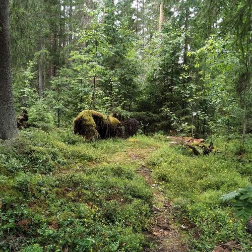 Photo #11229873