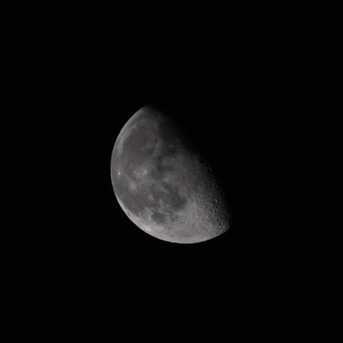 Photo #11229931