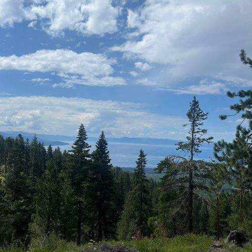 Photo #11229958