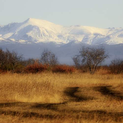 Photo #11229970