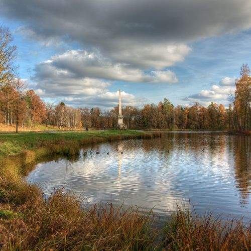 Photo #11230129