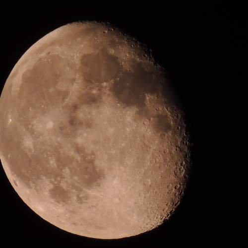 Photo #11230165