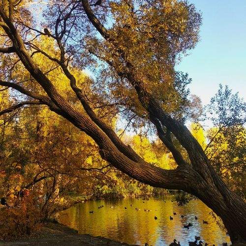 Photo #11230208