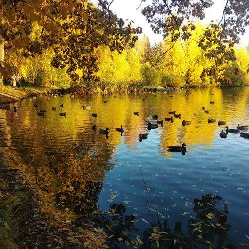 Photo #11230248