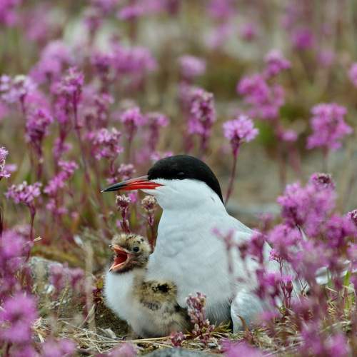 Photo #11230353