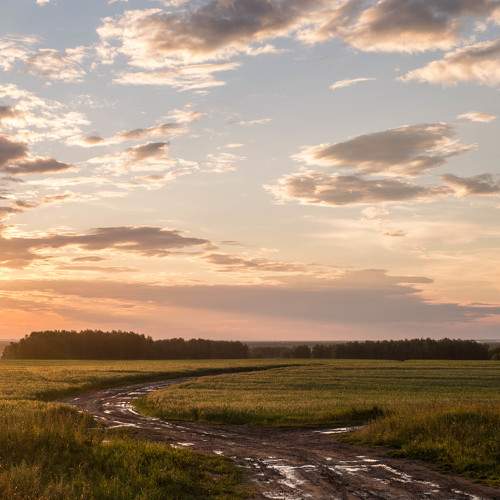 Photo #11230354