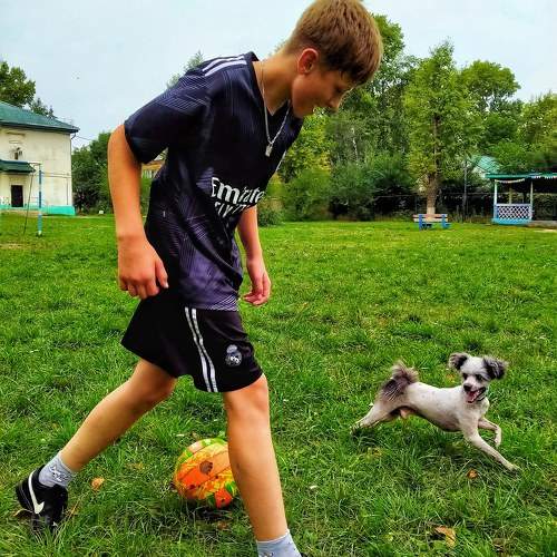 Photo #11230422