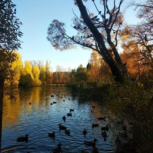 Photo #11230558