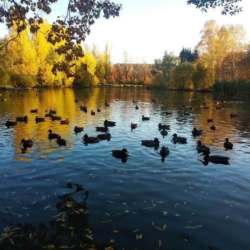 Photo #11230780