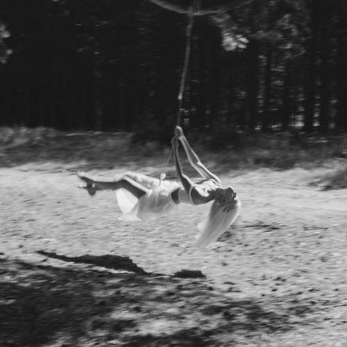 Photo #11230807