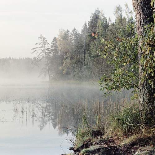 Photo #11231039