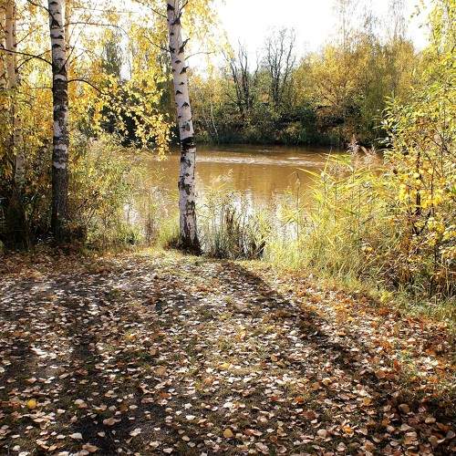 Photo #11231064